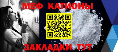 крисы Кингисепп