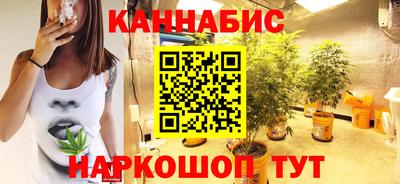 крисы Кингисепп
