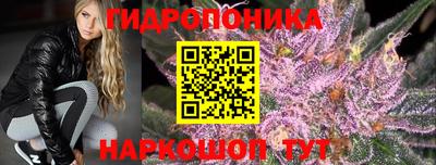 спайс Кинель