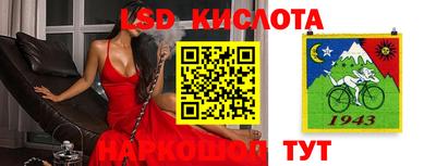 крисы Кингисепп