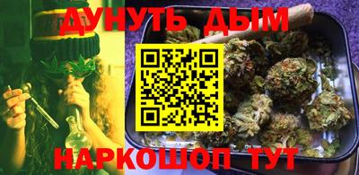 крисы Кингисепп