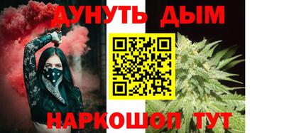 крисы Кингисепп
