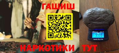 крисы Кингисепп