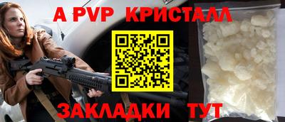 крисы Кингисепп