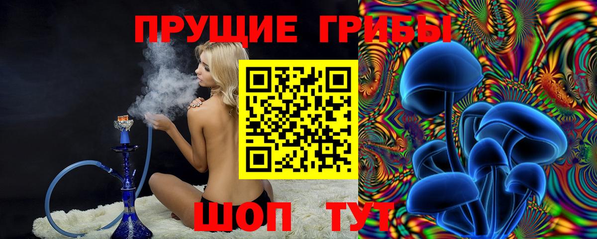 где купить наркотик  Вход с VPN  Красногорск  Галлюциногенные грибы мухоморы  Галлюциногенные грибы мицелий 
